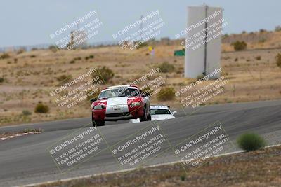 media/May-03-2025-Lucky Dog Racing (Sat) [[206de64b9d]]/Turn 6 (150pm-230pm)/